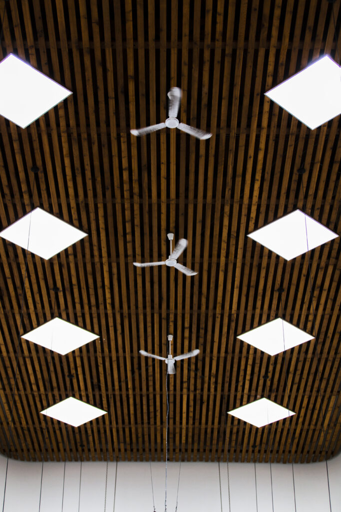 view-ceiling-with-small-fans